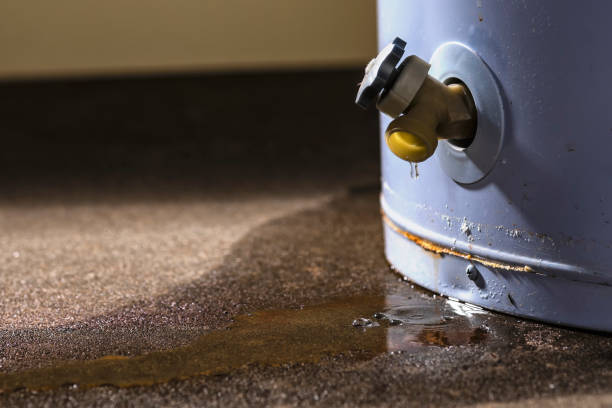 Reliable SC Water damage restoration Solutions