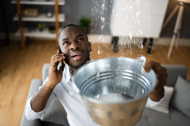 Best Water damage cleanup near me  in Williston, SC