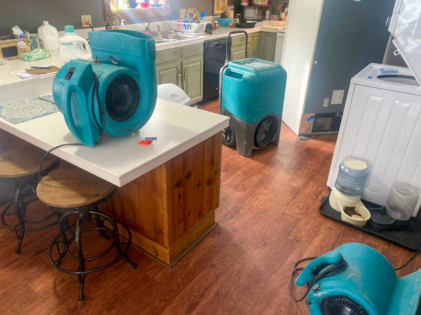  Williston, SC Water damage restoration Pros
