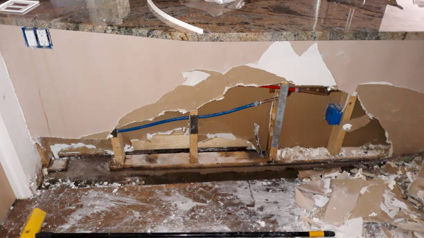 Best Residential water damage restoration  in Williston, SC