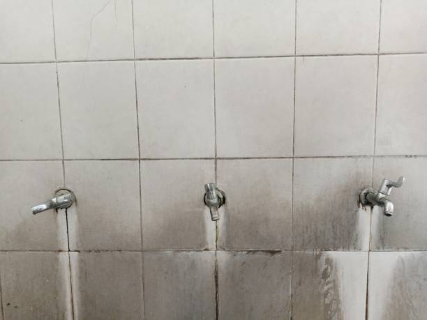 Best Water damage contractors near me  in Williston, SC