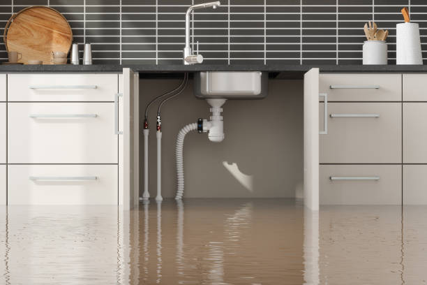 Best Commercial water damage restoration  in Williston, SC