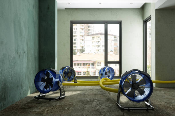 Best 24/7 water damage repair  in Williston, SC